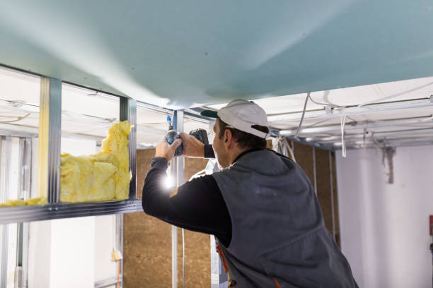 Best Professional Insulation Contractor  in Marshall, MI