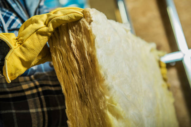 Best Insulation Replacement Services  in Marshall, MI