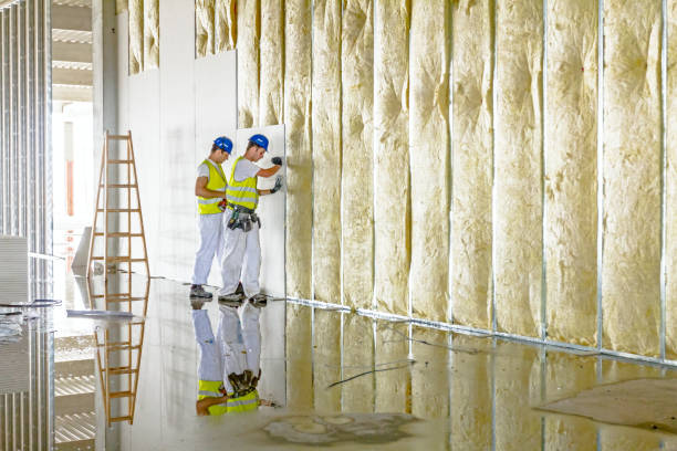 Professional Insulation Contractor in Marshall, MI